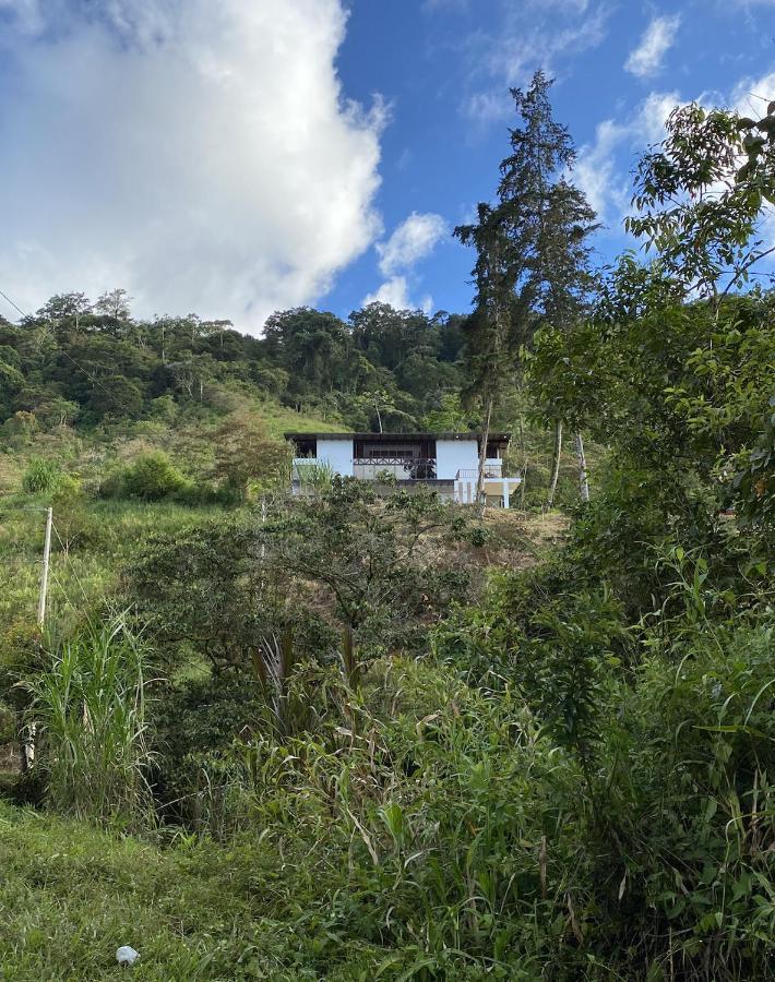 Arte De Plumas Birding Lodge Cartago Luaran gambar