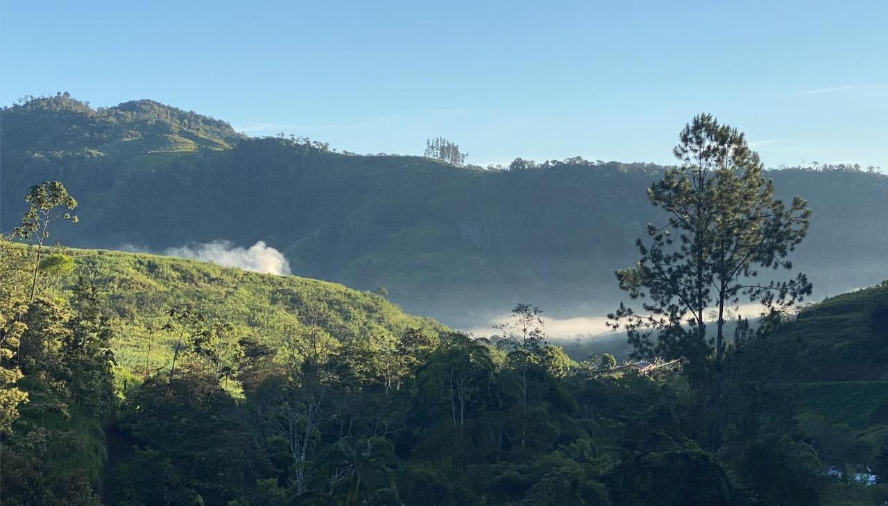 Arte De Plumas Birding Lodge Cartago Luaran gambar
