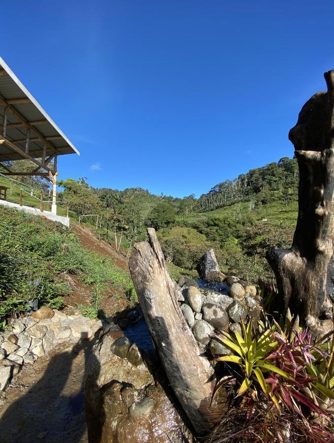 Arte De Plumas Birding Lodge Cartago Luaran gambar