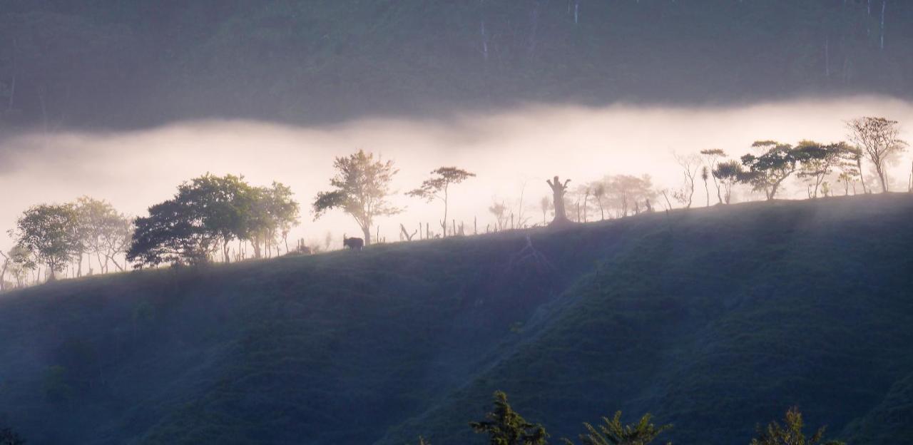 Arte De Plumas Birding Lodge Cartago Luaran gambar