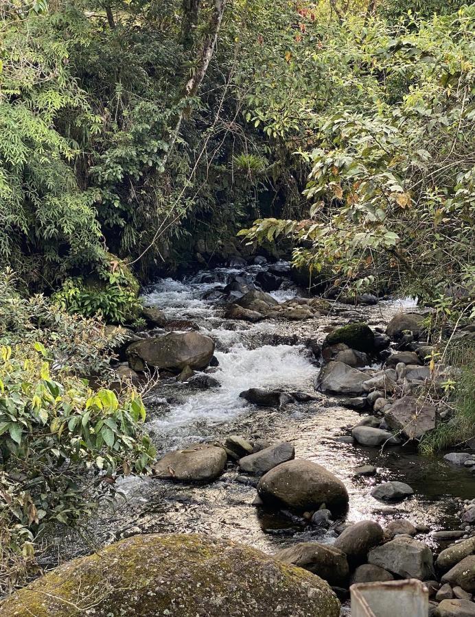 Arte De Plumas Birding Lodge Cartago Luaran gambar